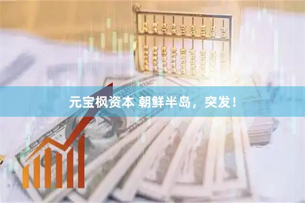 元宝枫资本 朝鲜半岛，突发！
