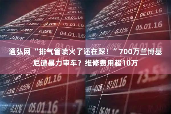 通弘网 “排气管喷火了还在踩！”700万兰博基尼遭暴力审车？维修费用超10万