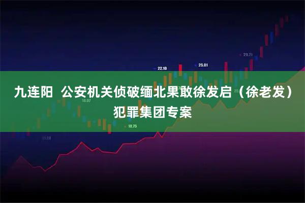 九连阳  公安机关侦破缅北果敢徐发启（徐老发）犯罪集团专案