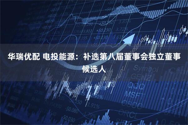 华瑞优配 电投能源：补选第八届董事会独立董事候选人