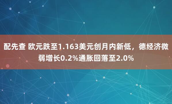 配先查 欧元跌至1.163美元创月内新低，德经济微弱增长0.2%通胀回落至2.0%
