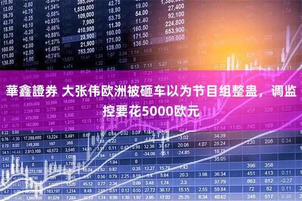 華鑫證券 大张伟欧洲被砸车以为节目组整蛊，调监控要花5000欧元