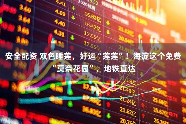 安全配资 双色睡莲,好运“莲莲”!海淀这个免费“莫奈花园”,地铁直达