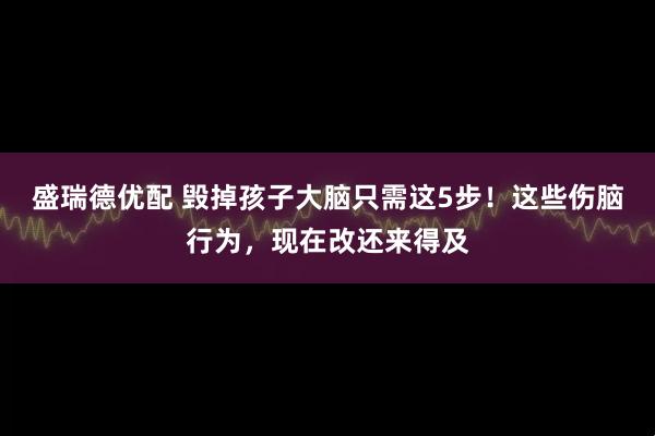盛瑞德优配 毁掉孩子大脑只需这5步！这些伤脑行为，现在改还来得及